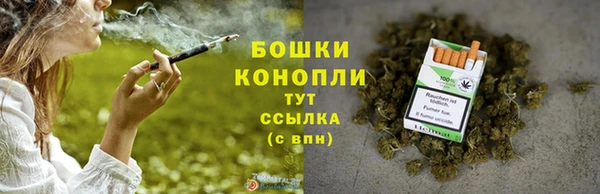 гидра Белоозёрский