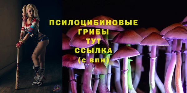 бошки Сафоново