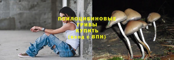 гидра Беломорск