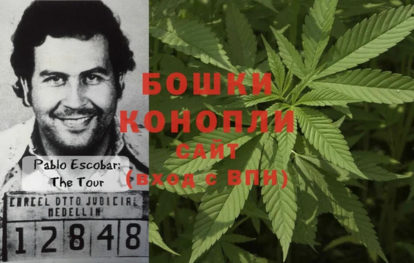 гидра Белоозёрский